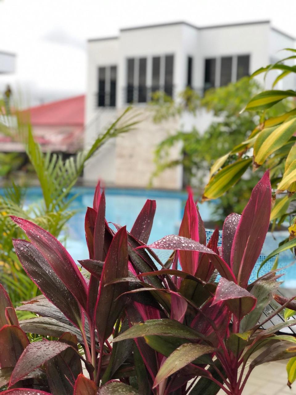 Tucan Resort & Spa Paramaribo Exterior foto